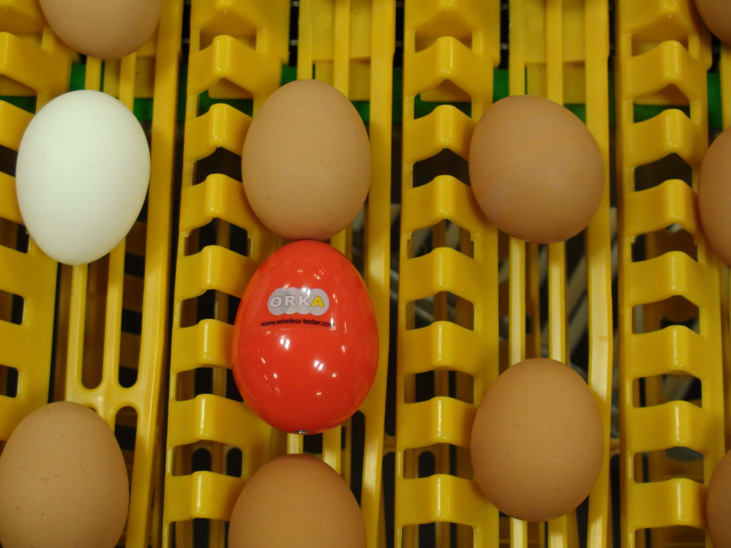 Датчик на яйцо в инкубаторе. Датчик температуры яйца Egg sensor. Яйцо Orka. Лучшие датчики на яйцо.