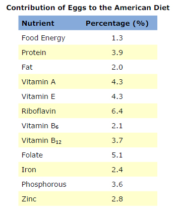 Egg Nutrition